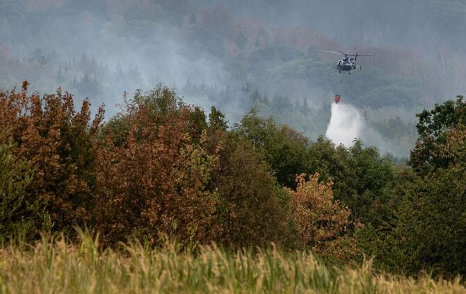 Waldbrand im Hürtgenwald