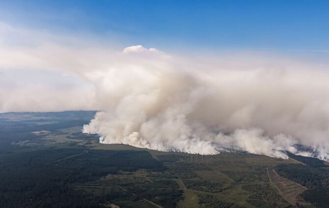 Waldbrand in Belgien