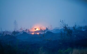 Waldbrand in Belgien