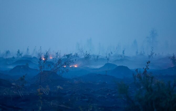 Waldbrand in Belgien