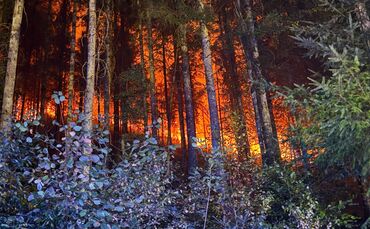 Waldbrand bei Schramberg