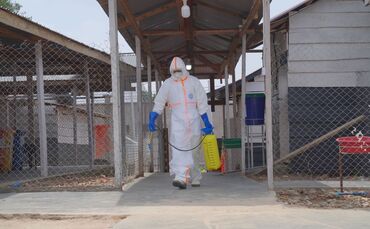 Ebola im Kongo