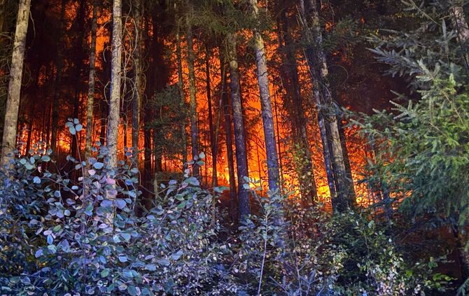Waldbrand bei Schramberg