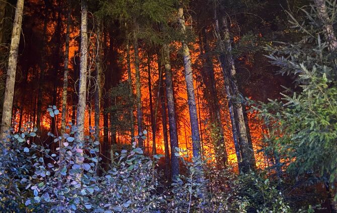 Waldbrand bei Schramberg