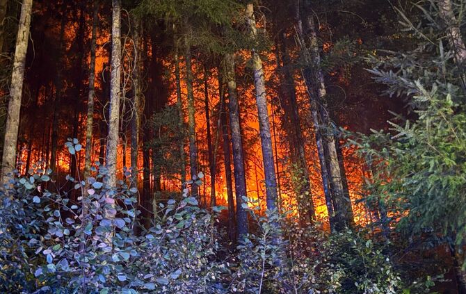 Waldbrand bei Schramberg