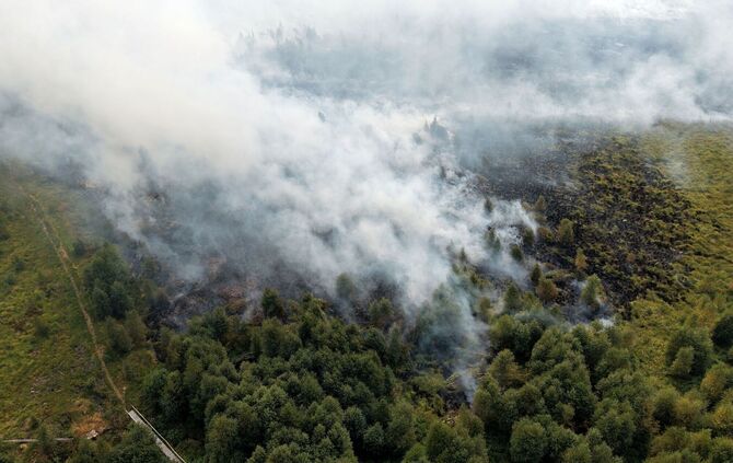 Waldbrand im Hohen Venn