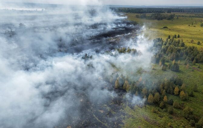 Rauchschwaden bei dem Brand im Hohen Venn