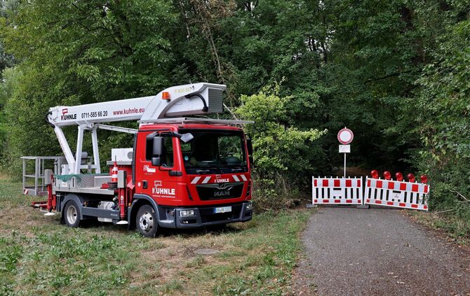 Der Remstalweg ist derzeit wieder gesperrt. Anlass dazu gaben zwei kranke Eschen, die umgestürzt waren.