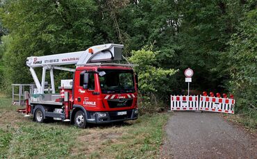 Der Remstalweg ist derzeit wieder gesperrt. Anlass dazu gaben zwei kranke Eschen, die umgestürzt waren.