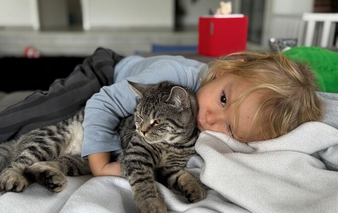 Der dreijährige Dean mit seinem Lucky. Die Katze wurde vor seinen Augen überfahren.
