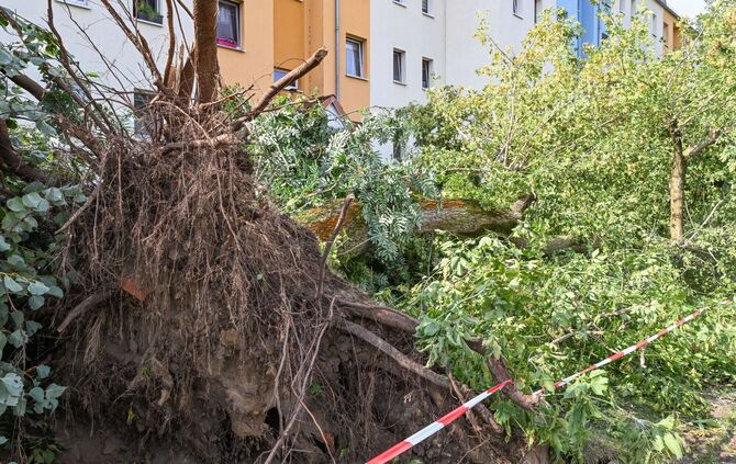 DWD bestätigt Tornado in Fürstenwalde in Brandenburg