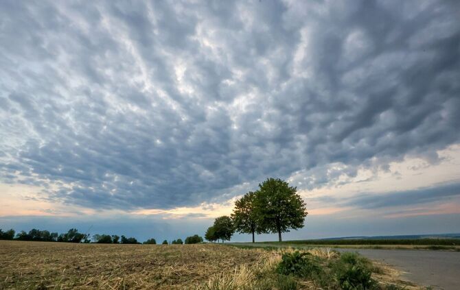 Nach langer Trockenheit kann ein bisschen Regen nicht viel bewirken. (Archivbild)