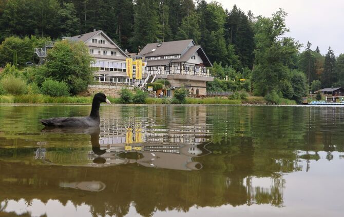 Idyllisch gelegen lädt das Seehotel zu Feiern und Hochzeiten ein.