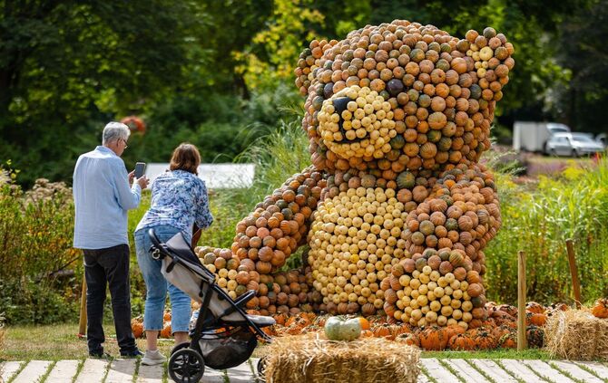 Kürbisausstellung unter dem Motto «Let’s play»