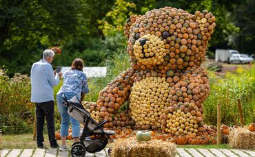 Kürbisausstellung unter dem Motto «Let’s play»