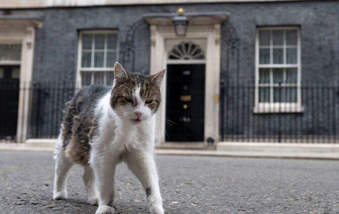 Kater Larry in der Downing Street 10