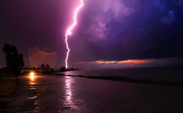 Blitz in Florida