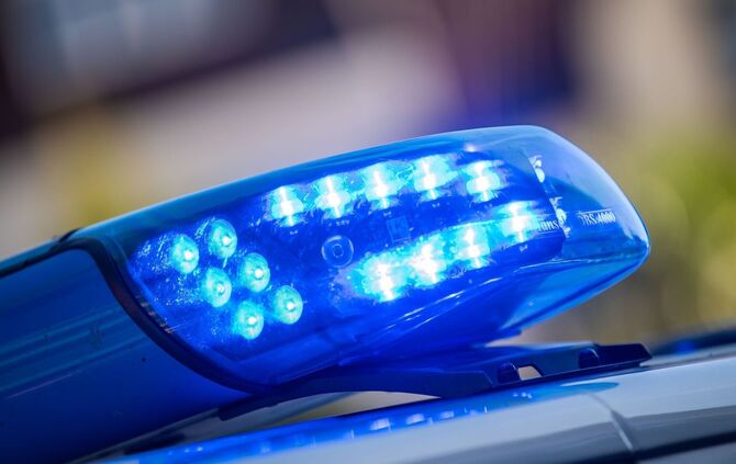 Bei dem Versuch, ihren kleinen Hund zu schützen, wird die 71-Jährige verletzt. (Symbolbild)