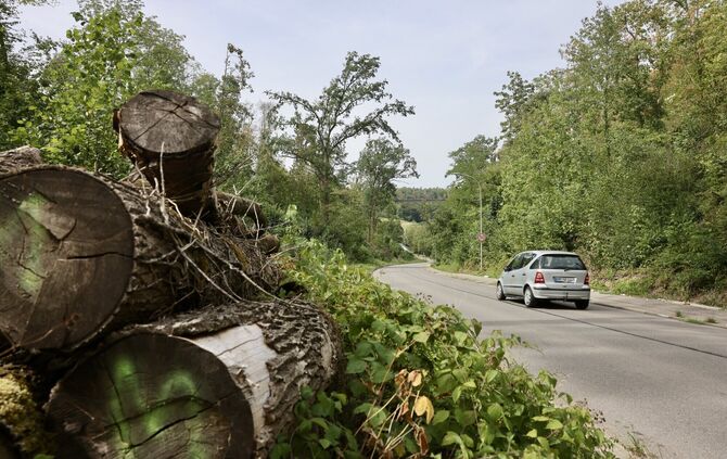 Die Klinglestalstraße von Neustadt nach Kleinhegnach am 27. August.