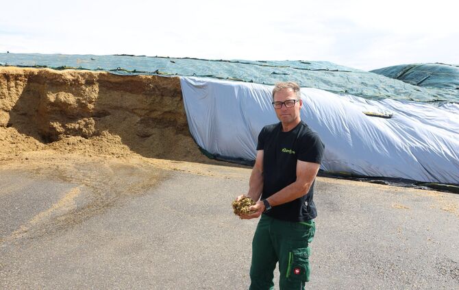 Was vom Mais-Labyrinth übrig ist: Rüdiger Lämmle mit der Silage.
