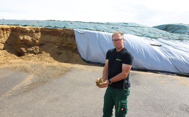 Was vom Mais-Labyrinth übrig ist: Rüdiger Lämmle mit der Silage.