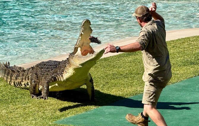 20. Todestag von «Crocodile Hunter» Steve Irwin