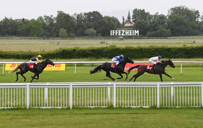 Galopp