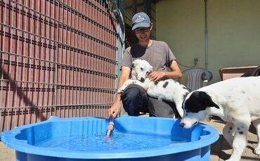 Tierheimleiter Tom Jankowski sorgt bei zwei Bewohnern für eine willkommene Erfrischung.