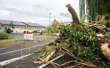 Umgestürzte Bäume in der Gemeinde Moos. Bei dem Unwetter soll auch ein Kind ums Leben gekommen sein. (Archivbild)