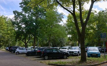Am und in der Nähe des P+R-Parkplatzes Neustadt-Hohenacker sollen mehrere Bäume gefällt werden.