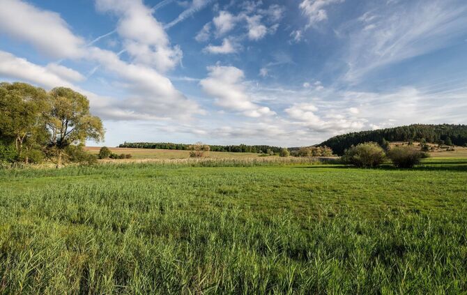 Sonne und blauer Himmel - der Herbst bleibt auf Abstand.