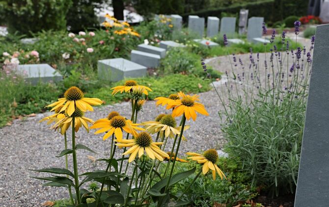 Von den Friedhöfen in Korb verschwinden in letzter Zeit verstärkt Grabschmuck und Blumen (Symbolfoto).