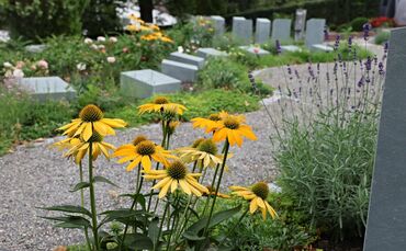 Von den Friedhöfen in Korb verschwinden in letzter Zeit verstärkt Grabschmuck und Blumen (Symbolfoto).