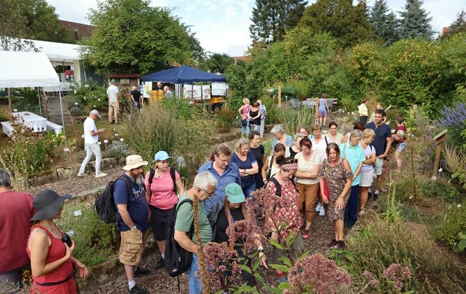 Beliebt: Der Herbstmarkt der Kräuterterrassen Kaisersbach. (Archivbild)