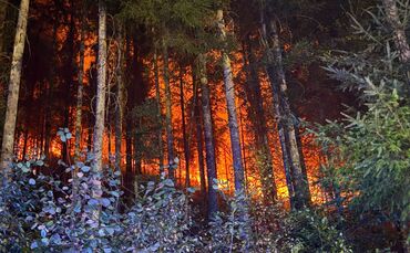 Waldbrand bei Schramberg