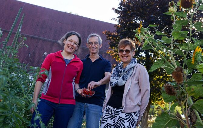 Im "Hortus St. Stephanus": Roswitha Früh-Kunz (rechts), ihr Mann Johannes Früh und Iris Gruhle freuen sich über die Johannisbeer