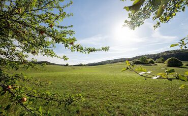 Am Montag könnte es bis zu 33 Grad heiß werden.(Archiv)