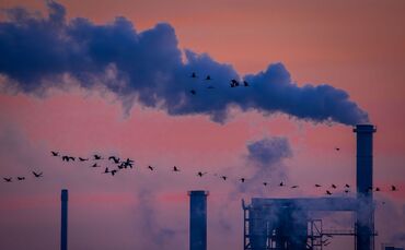 Industrieproduktion