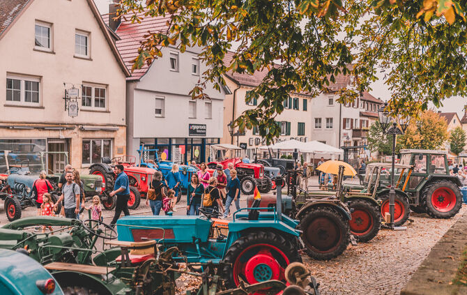 Historische Traktoren ziehen Besucher beim Holz- und Bauernmarkt in Welzheim an.