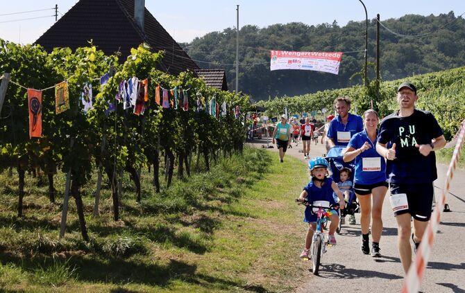 Die Wengert Wetzede in Winnenden ist ein Spektakel für Jung und Alt. (Archivfoto)