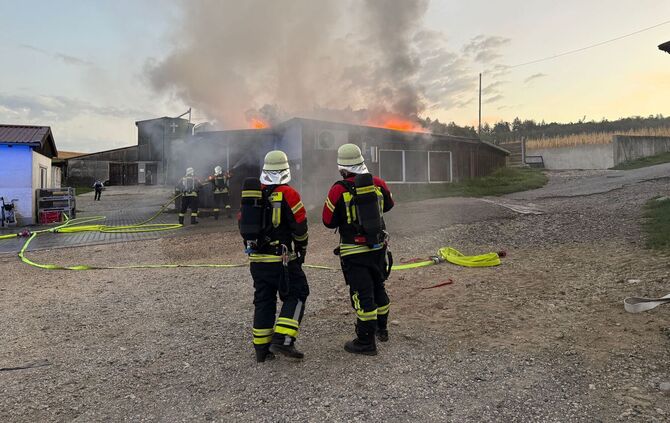 Brand