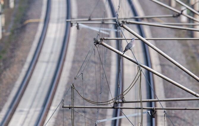 Oberleitungsschaden bei Hannover behoben