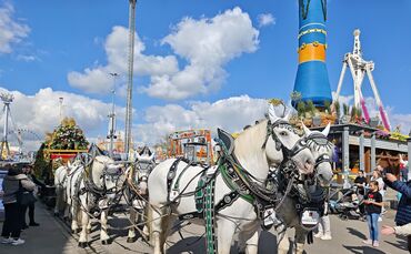 Zwischen Fassanstich und Musik-Feuerwerk gibt es einige Events auf dem CannstatterVolksfest (Symbolfoto).