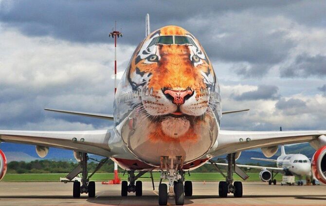 Das Tigerface auf der Boeing 747, gemalt in Rom, bezeichnet  André Eisele als „etwas richtig Herausragendes“.
