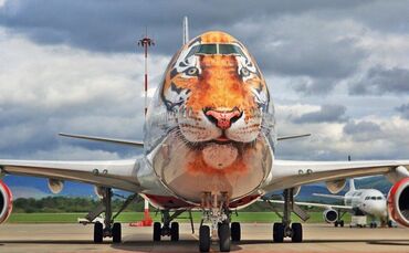 Das Tigerface auf der Boeing 747, gemalt in Rom, bezeichnet  André Eisele als „etwas richtig Herausragendes“.