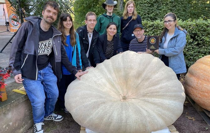 Mit diesem Kürbis belegt die Paulinenpflege Platz 1 in Dresden.