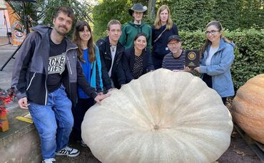 Mit diesem Kürbis belegt die Paulinenpflege Platz 1 in Dresden.