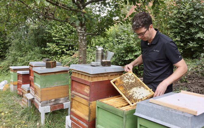 Alles okay im Bienenstock? Jetzt im Herbst schaut Ralf Nentwich, hauptberuflich Landtagsabgeordneter, hobbymäßig Imker, vor alle