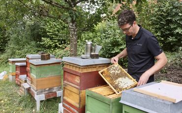 Alles okay im Bienenstock? Jetzt im Herbst schaut Ralf Nentwich, hauptberuflich Landtagsabgeordneter, hobbymäßig Imker, vor alle