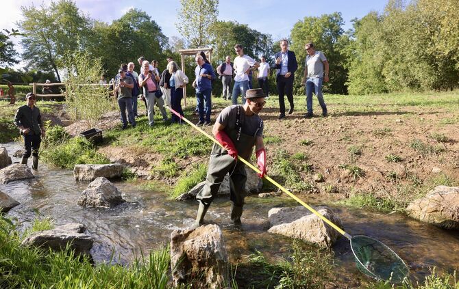 Mitarbeiter der Fischereibehörde Stuttgart durchsuchen den Zipfelbach auf tierische Bewohner.